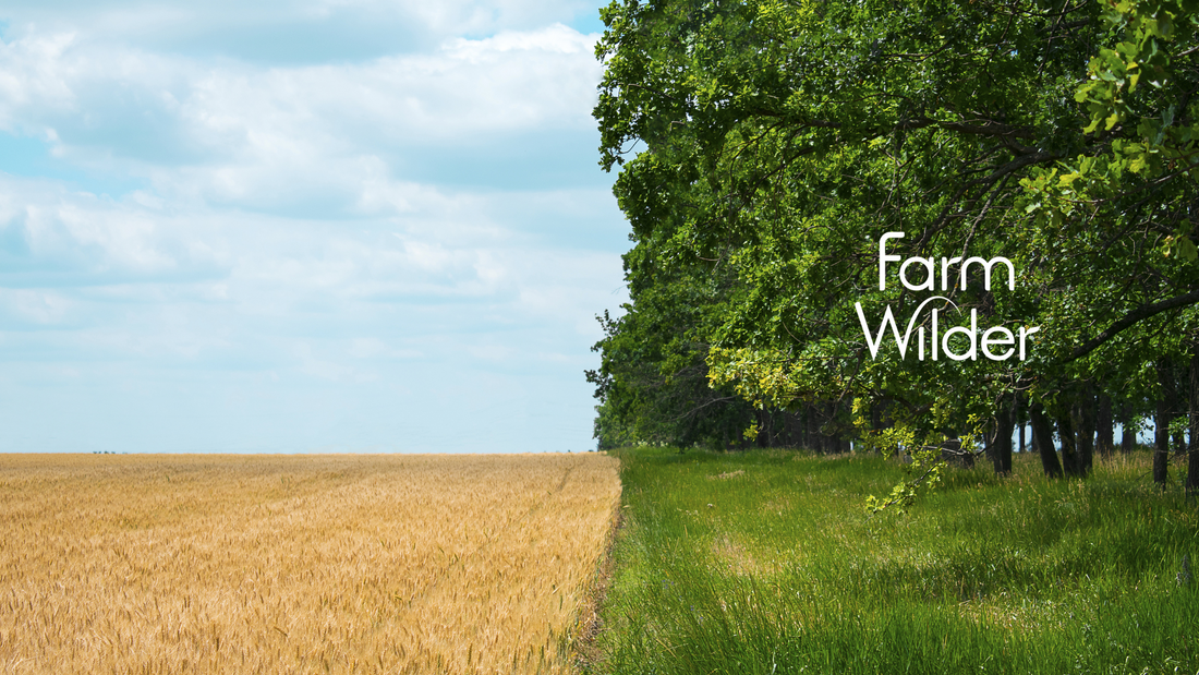 🌱 What Is Regenerative Agriculture?