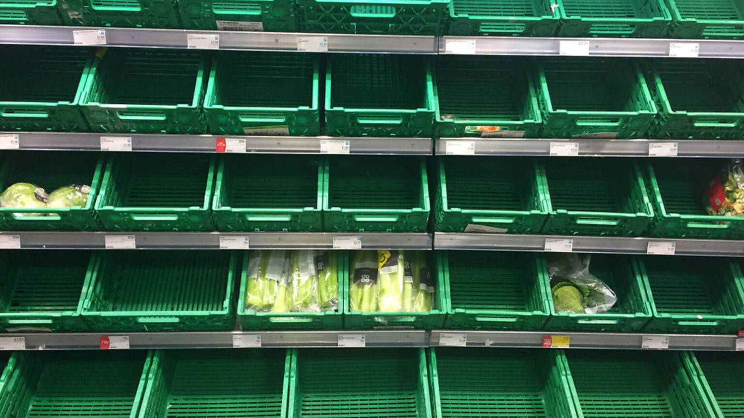 Empty Supermarket Shelves: Taking Action and Making a Difference - A Comprehensive Guide on What You Can Do to Address the Issue